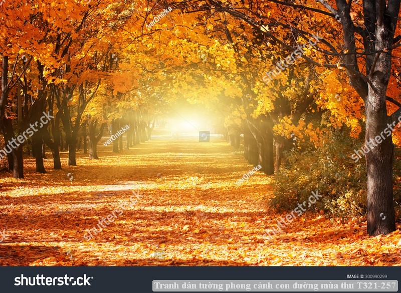 Tranh dán tường phong cảnh con đường mùa thu T321-257